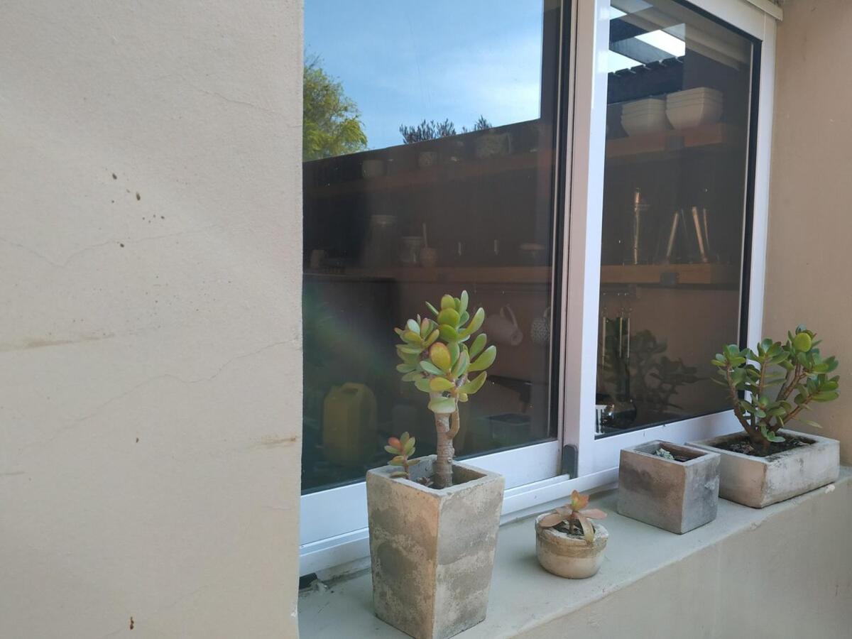נקוצ'אה Verde Lillo מראה חיצוני תמונה